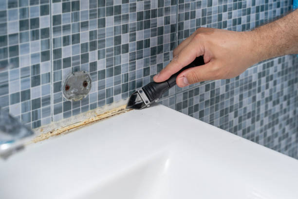 Best Affordable Mold Removal  in Arlington Heights, PA