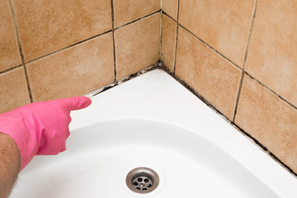 Best Office Mold Removal Services  in Arlington Heights, PA